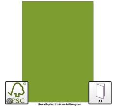 Benza Hobbykarton om zelf wenskaarten te maken 220 Gram - A4 - Mosgroen - 20 stuks