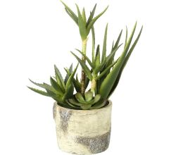 Parlane Kunst Succulent mix in sierpot - 19 x 19 x 43 cm