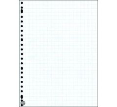 Ringbandblok Wiskundepapier Ruit 10 mm A4 - 23 rings