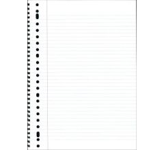 Basic Collegeblok Ringbandblok A4 - Lijn - 10 stuks