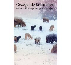 Dubbele Religieuze Kerstkaarten 5 - 6 stuks