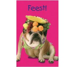 Zelda Wisdom dubbele uitnodigingen met envelop - 12 stuks