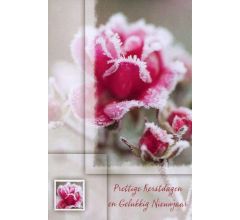 Dubbele Kerstkaarten Assorti 1 - 30 stuks