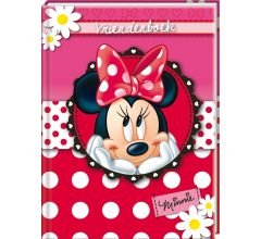 Minnie Mouse Disney's vriendenboek vriendenboekje