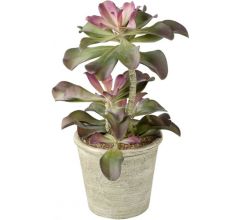 Parlane Kunst Echeveria in polyresinen sierpot - 15 x 15 x 43 cm