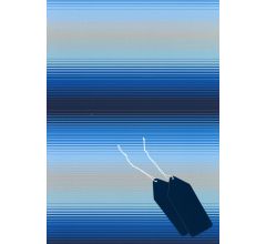 Cadeaupapier 4 vellen van 50x70cm en 4 cadeaulabels - 11 x 4 cm - Blauw gestreept