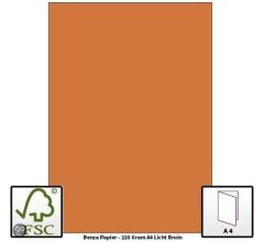 Benza Hobbykarton om zelf wenskaarten te maken 220 Gram - A4 - Lichtbruin - 20 stuks