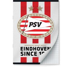 PSV schriften Ruit 10 mm A4 - 2 stuks